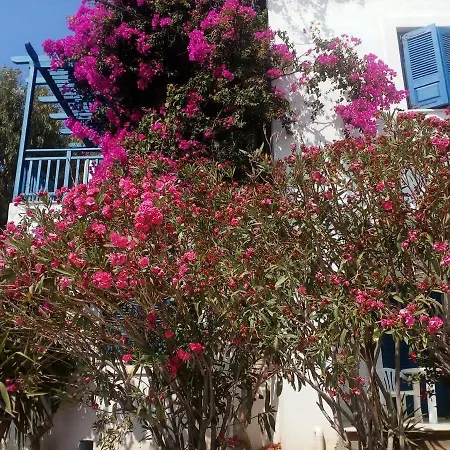 Apartament Anastazia I